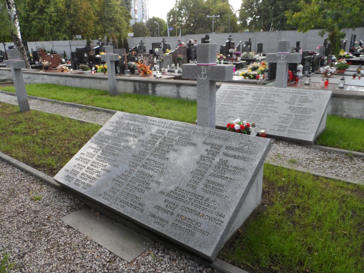 Wikipedia, Cmentarz Wawrzyszewski, Self-published work, Warsaw Uprising graves
