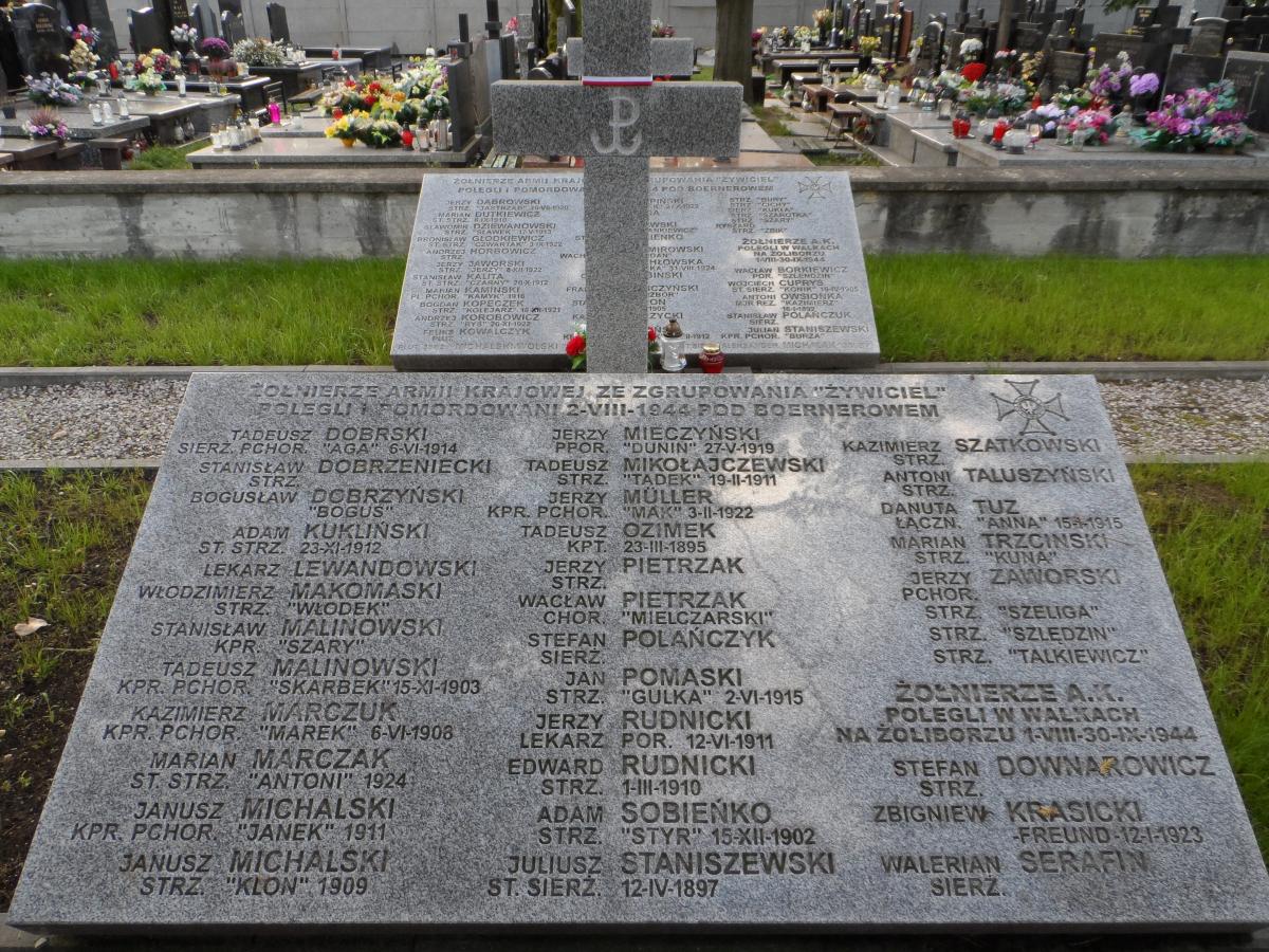 Wikipedia, Cmentarz Wawrzyszewski, Self-published work, Warsaw Uprising graves