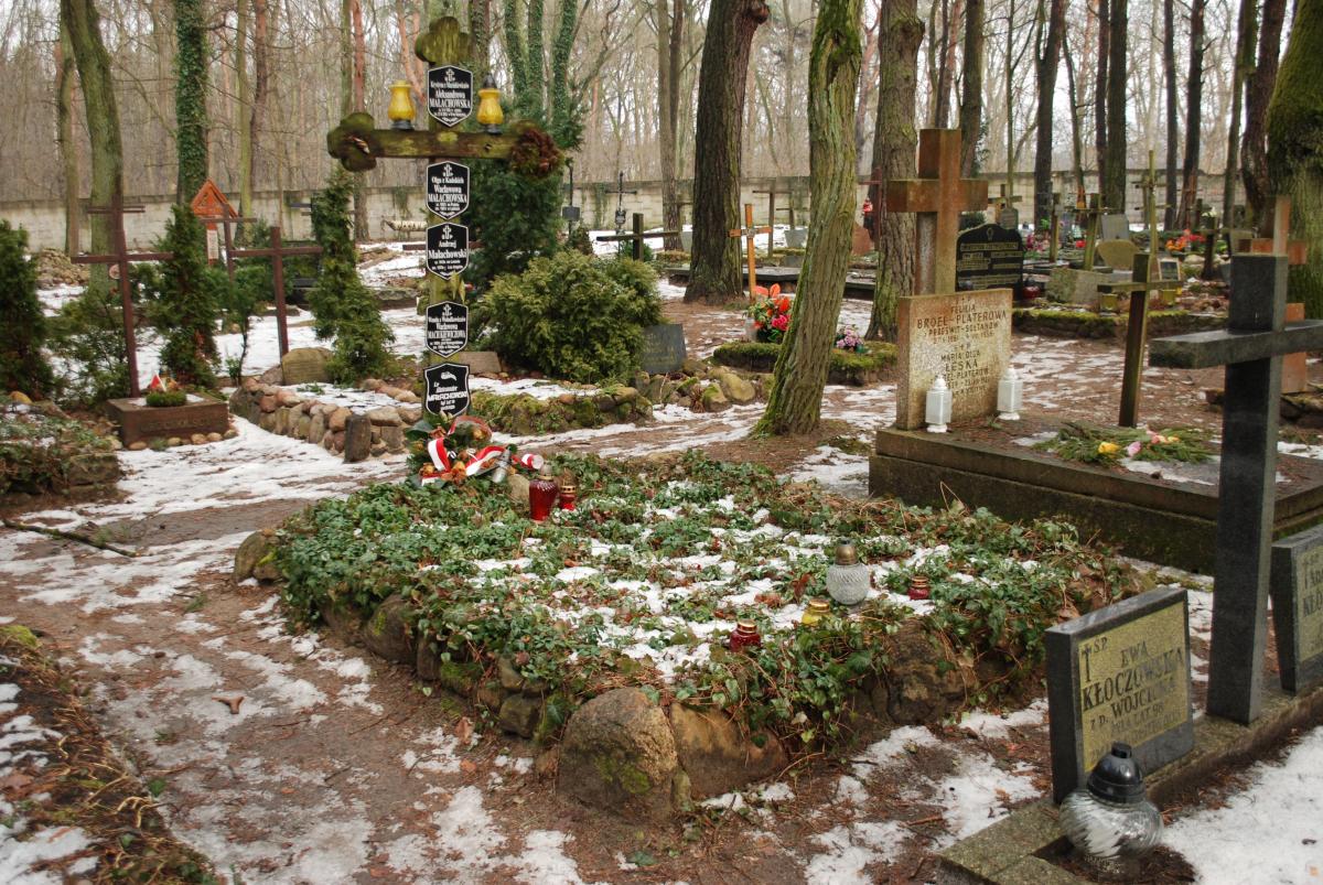 Wikipedia, Aleksander Małachowski, Laski Cemetery, Self-published work