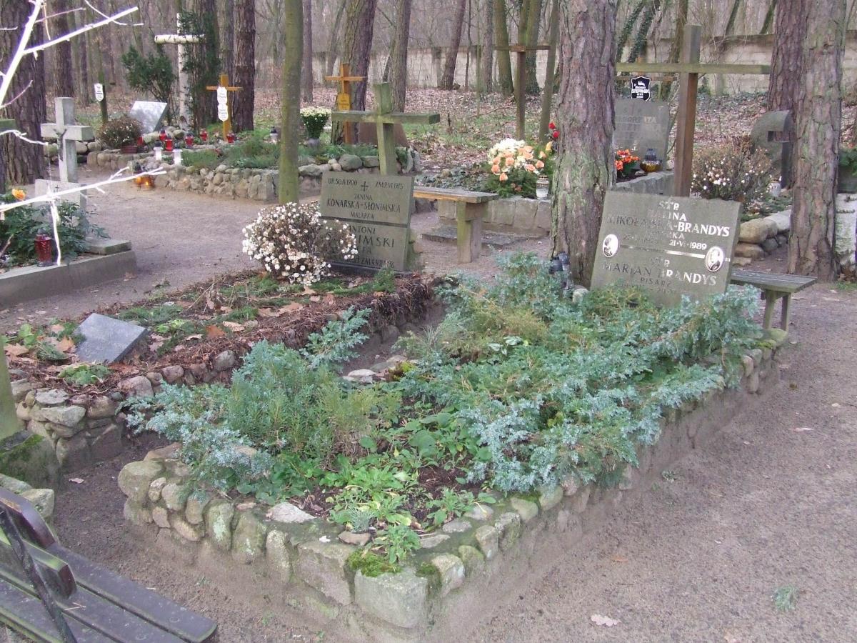 Wikipedia, Halina Mikołajska, Laski Cemetery, Self-published work