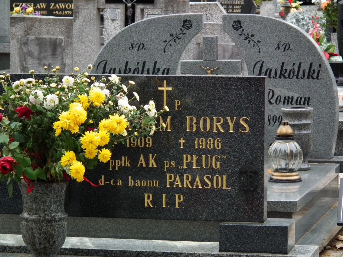 Wikipedia, Adam Borys, Armia Krajowa members, Armia Krajowa memorials, Cemetery in Witkowo, Self-pub