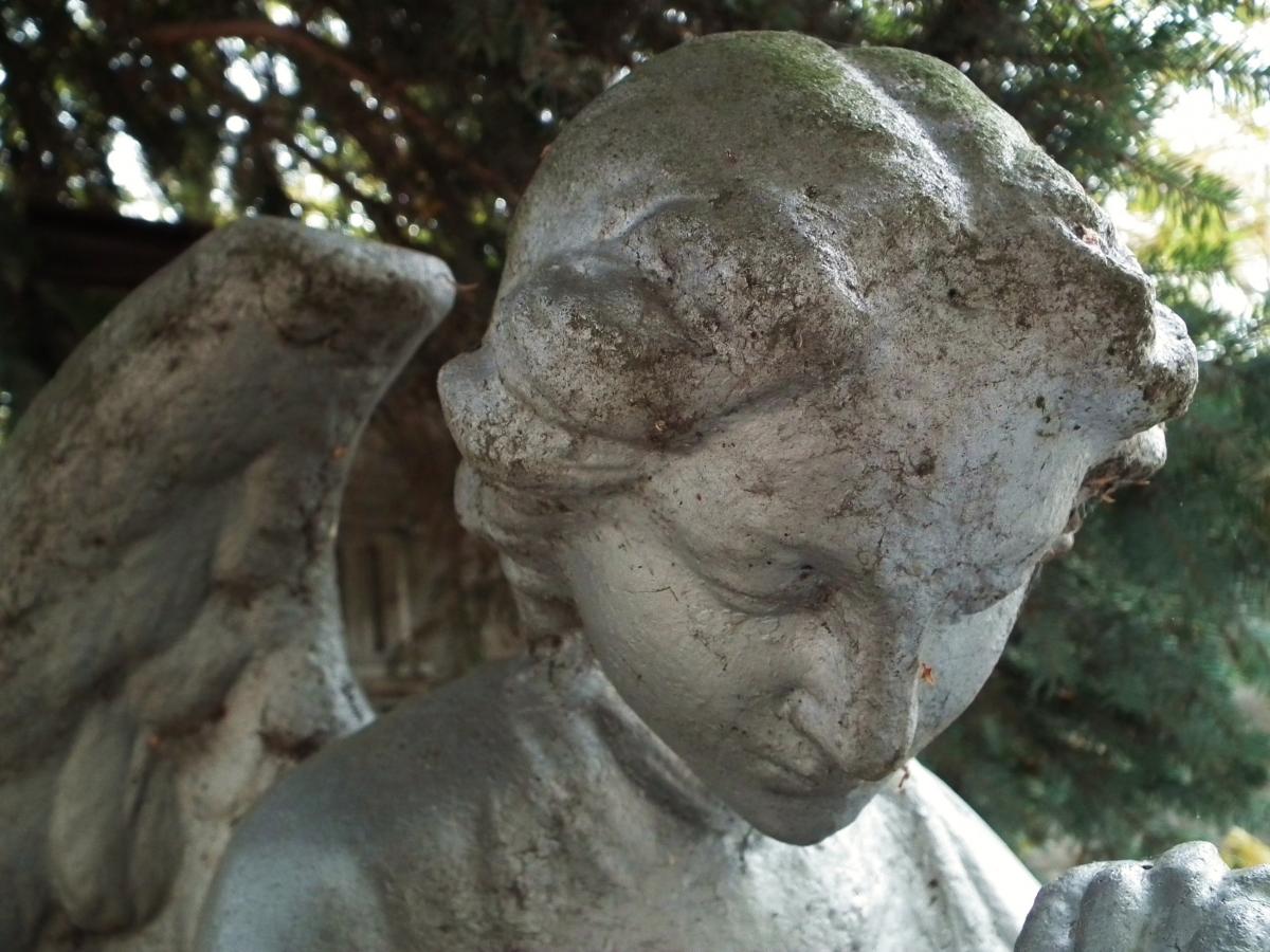 Wikipedia, Cemetery in Witkowo, Sculptures of angels, Self-published work