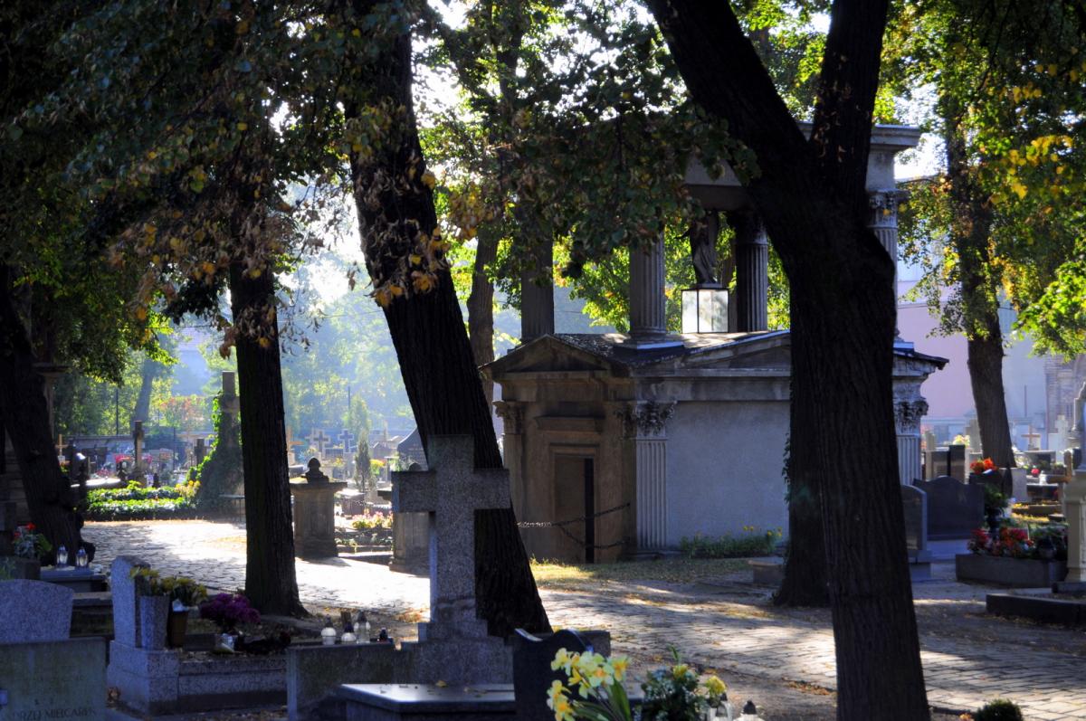 Wikipedia, Old Cemetery in Ostrów Wielkopolski, Self-published work