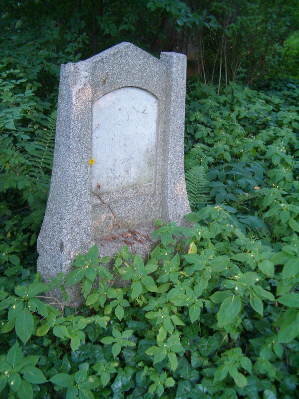 Wikipedia, Files with no machine-readable source, Images without source, Protestant cemetery in Raci
