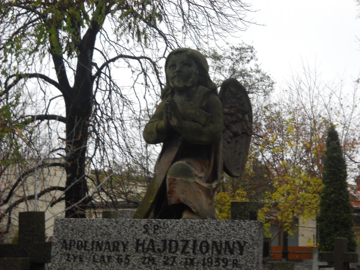 Wikipedia, Czerniakw Cemetery, Self-published work