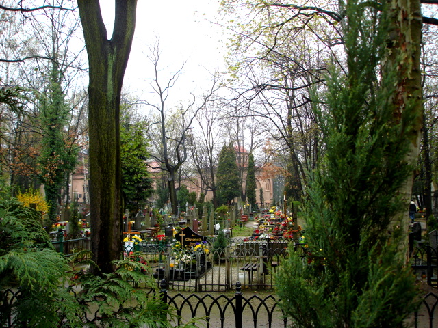 Wikipedia, Municipal cemetery in Legnica, Self-published work