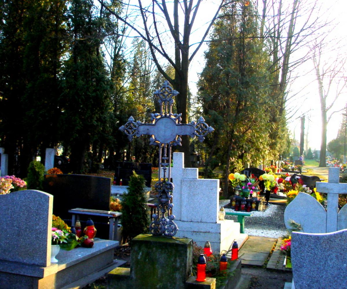 Wikipedia, Municipal cemetery in Legnica, Self-published work