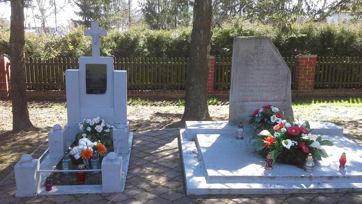 Wikipedia, Cemetery in Honiatycze, Self-published work