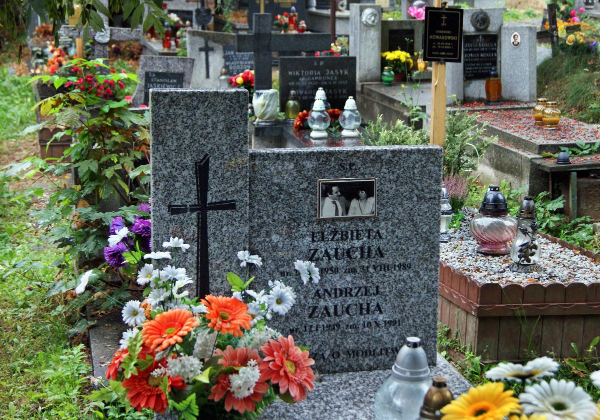 Wikipedia, Andrzej Zaucha, Batowice Cemetery, Media with locations, Pages with maps, Self-published 