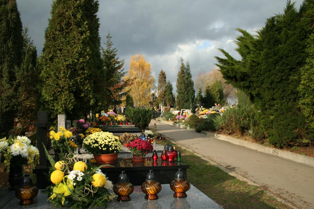 Wikipedia, Batowice Cemetery, Self-published work