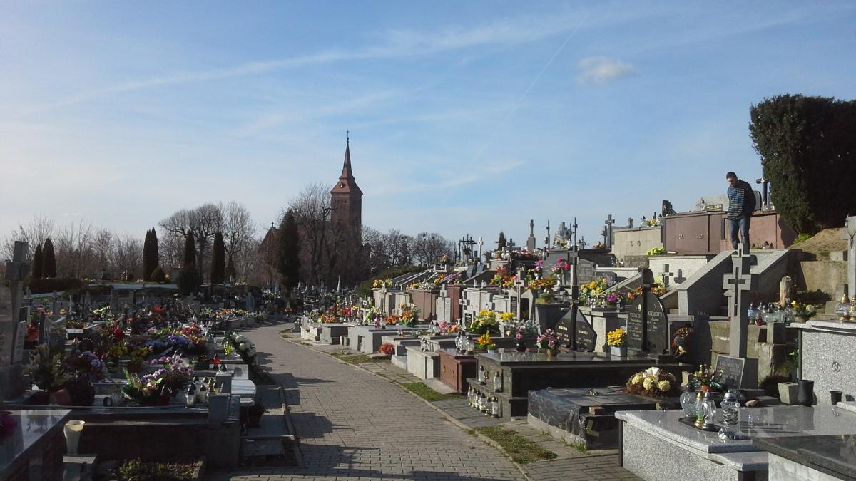 Wikipedia, Roman Catholic cemetery in Komarów-Osada, Self-published work