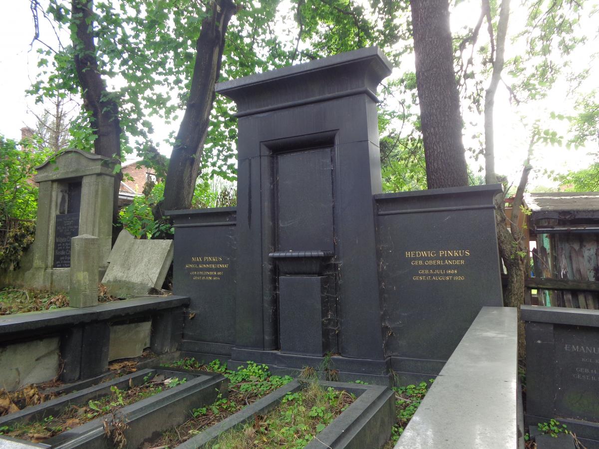 Wikipedia, 2018 in Prudnik, Jewish cemetery in Prudnik, Max Pinkus, Self-published work