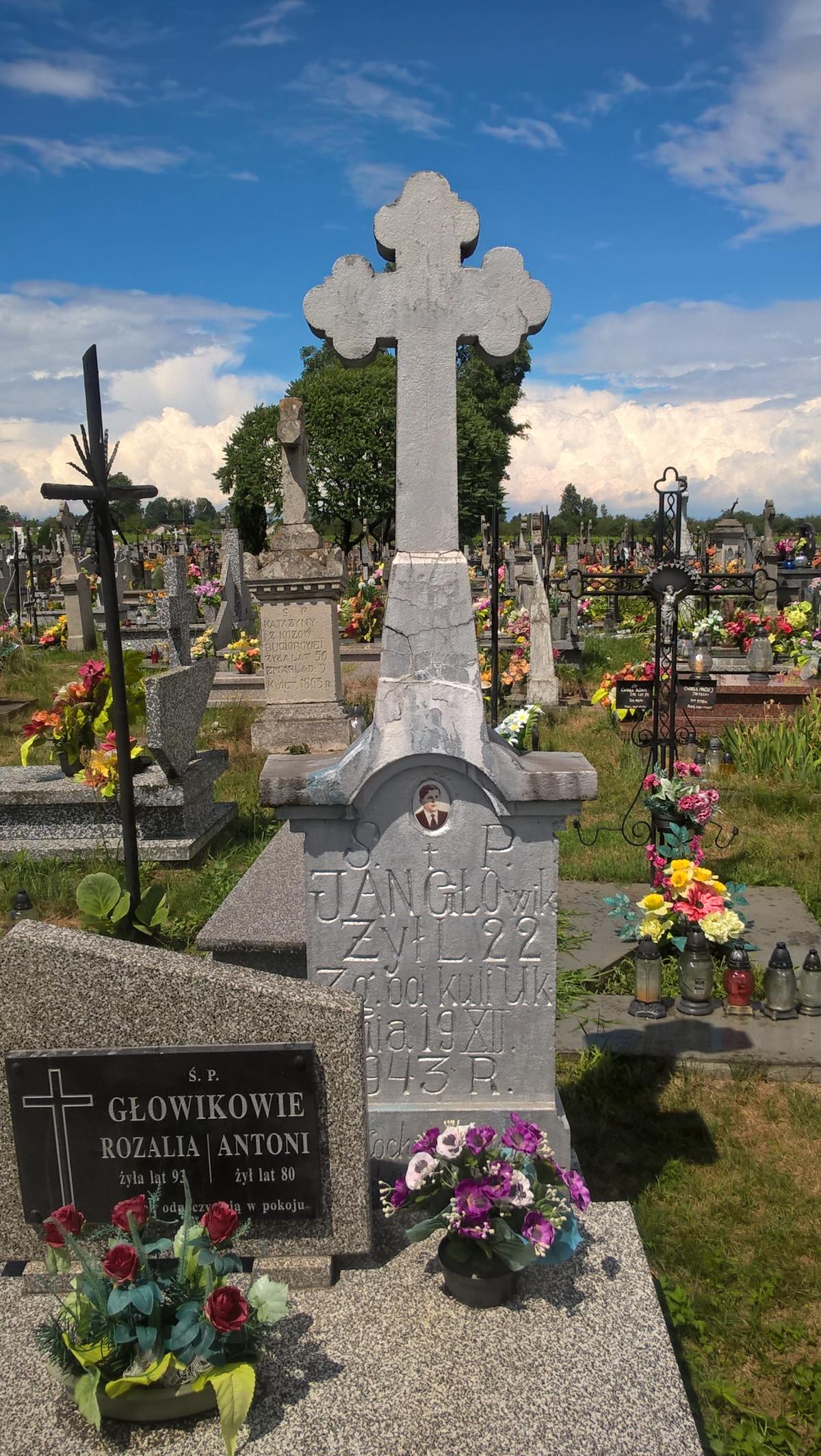 Wikipedia, Roman Catholic cemetery in Potok Górny, Self-published work