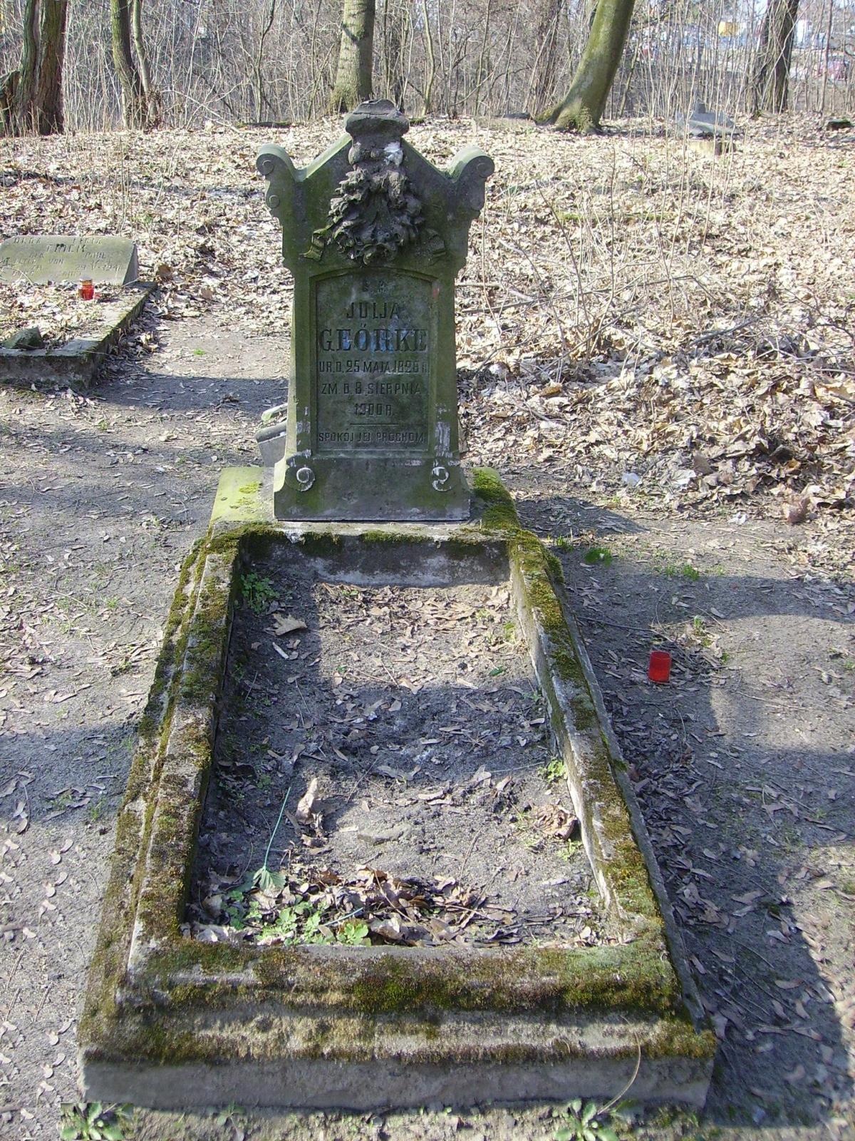 Wikipedia, Evangelical cemetery in Gostynin, PD-self, Self-published work