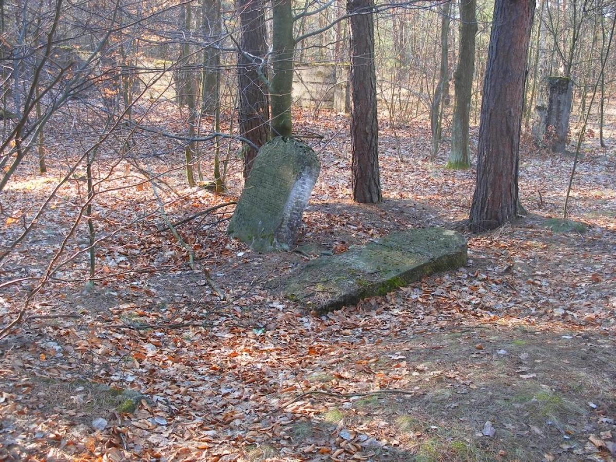 Wikipedia, Jewish Cemetery in Majdan Królewski, Self-published work