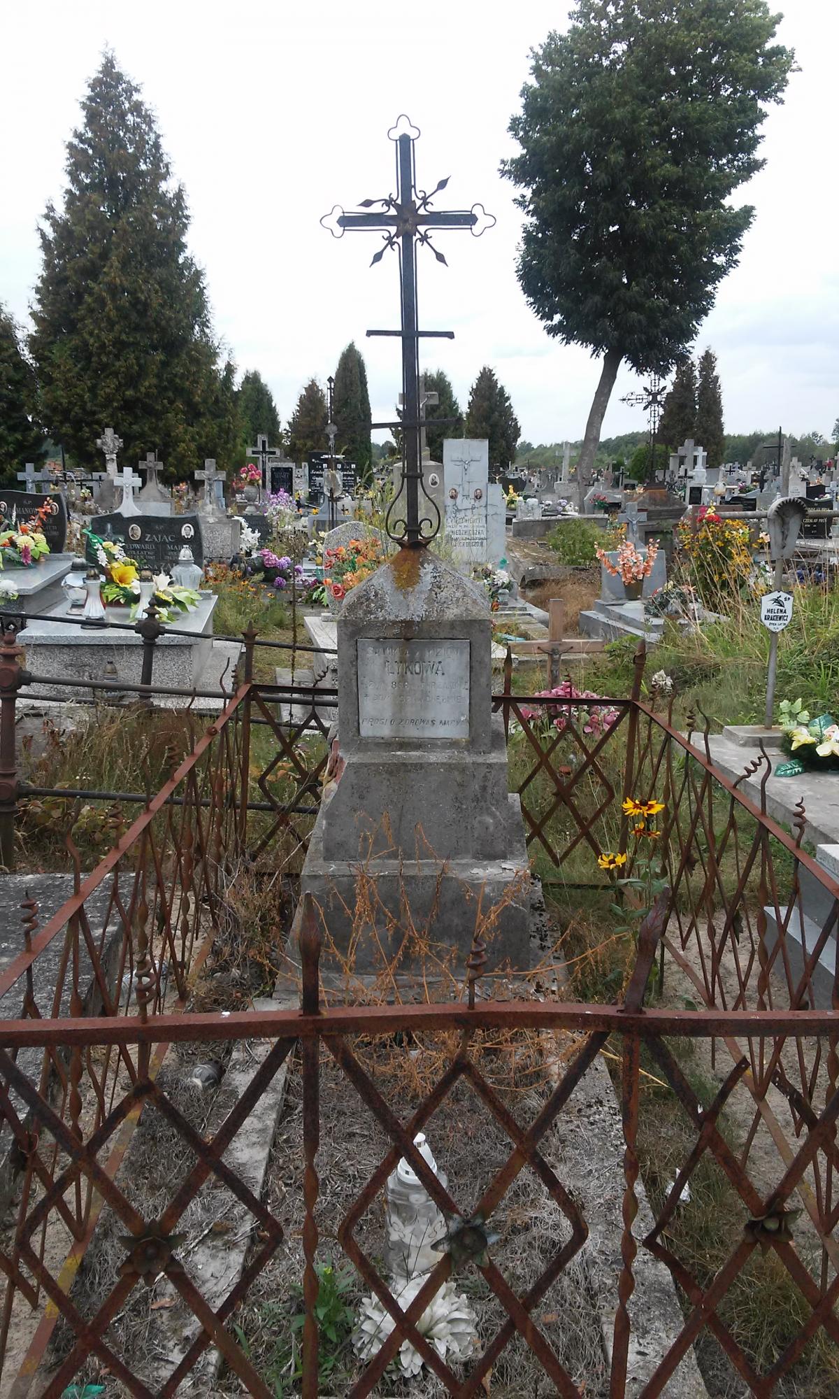 Wikipedia, Cemetery in Dubienka, Self-published work, Wikigrant WG 2015-39