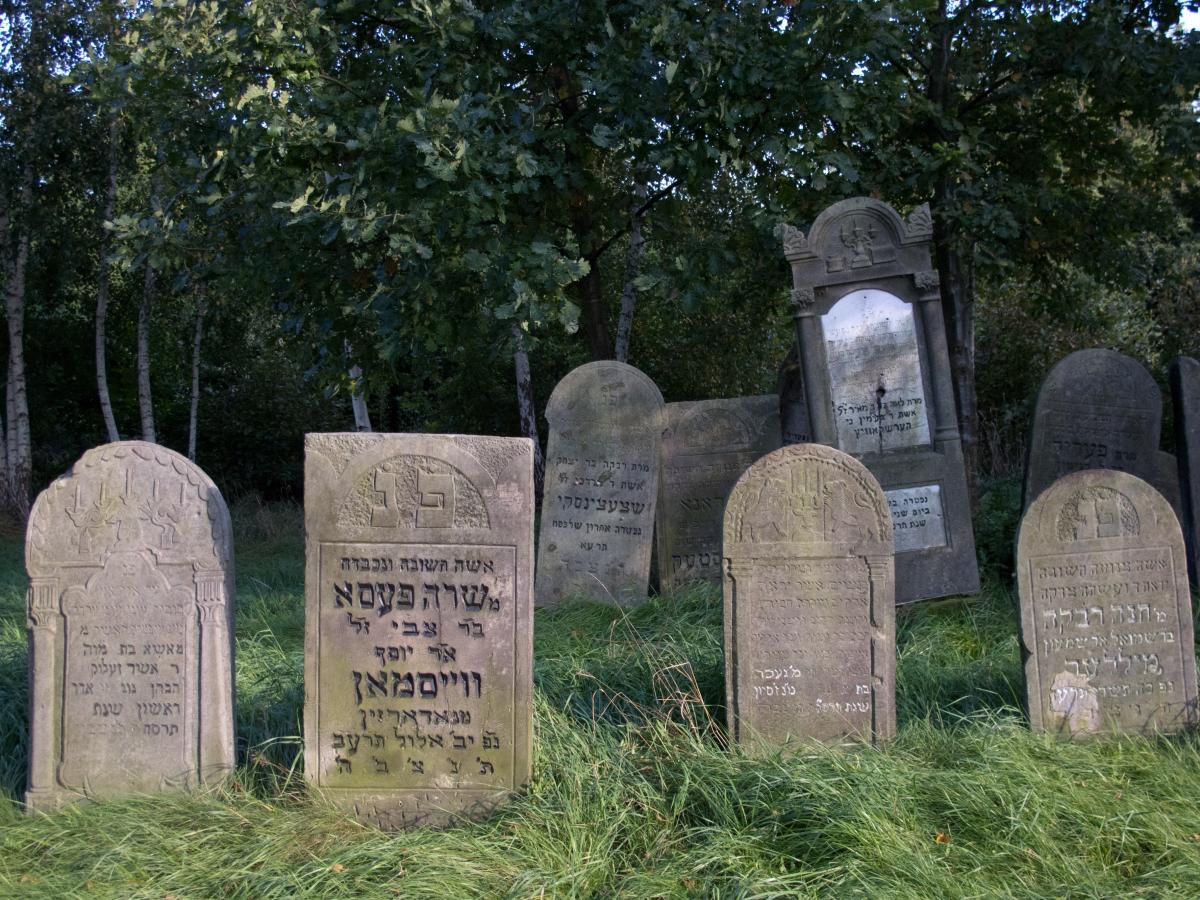 Wikipedia, Books on Jewish gravestones in Poland, Images from Wiki Loves Monuments 2011, Images from