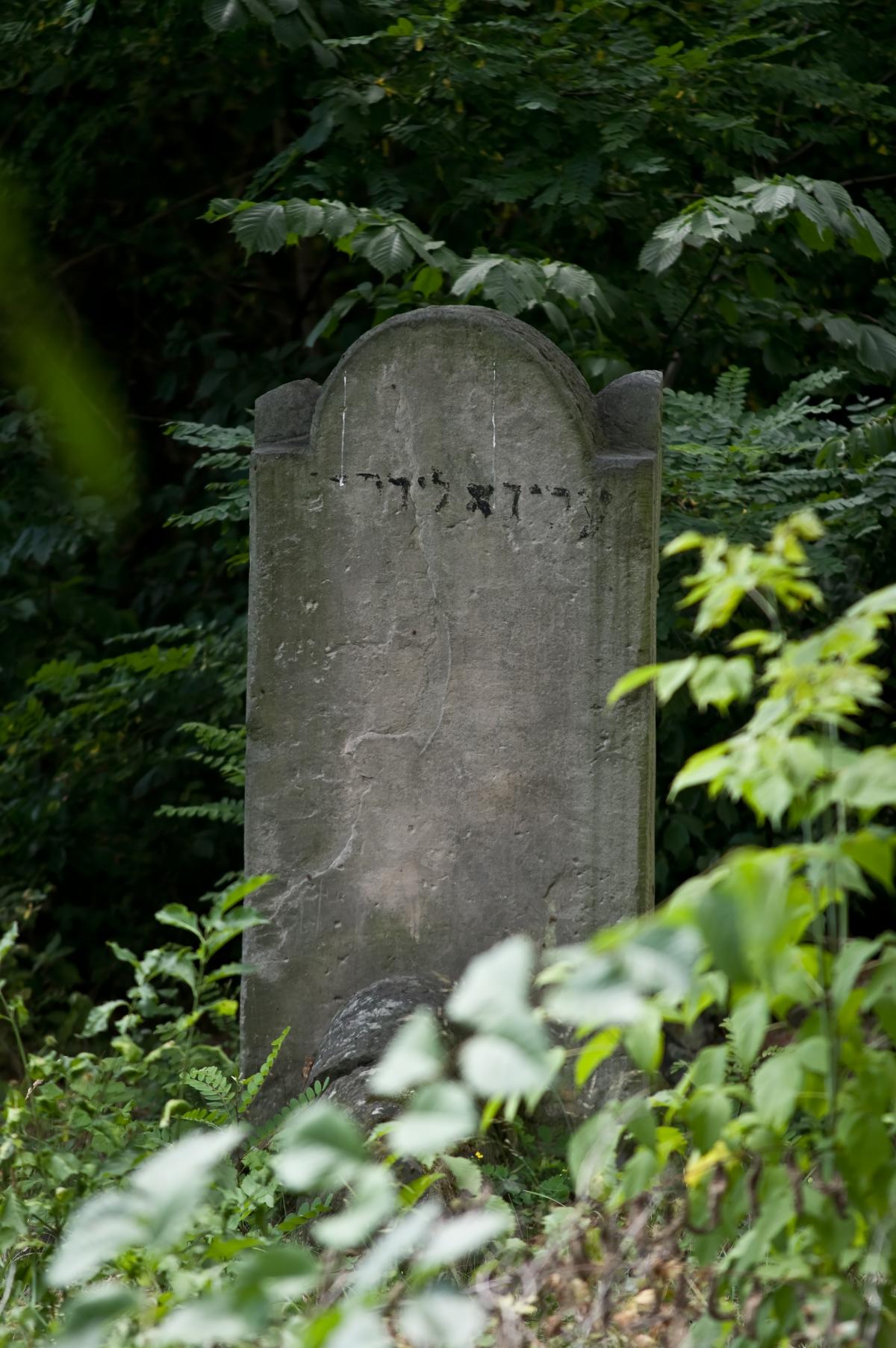 Wikipedia, Jewish cemetery in Pruszków, Media with locations, Pages with maps, Self-published work