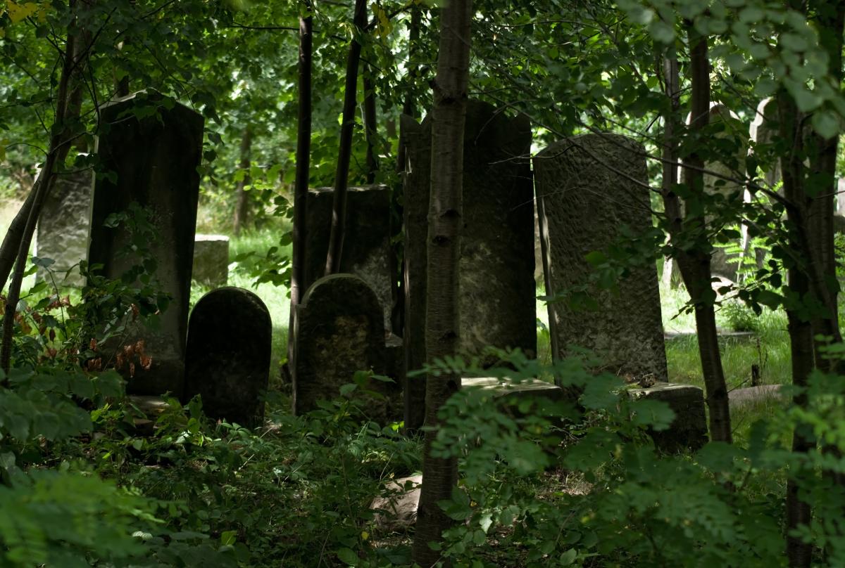 Wikipedia, Jewish cemetery in Pruszków, Media with locations, Pages with maps, Self-published work