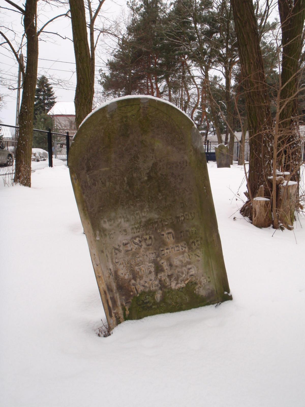 Wikipedia, Books on Jewish gravestones in Poland, Curtain on Jewish gravestones in Poland, Jewish ce