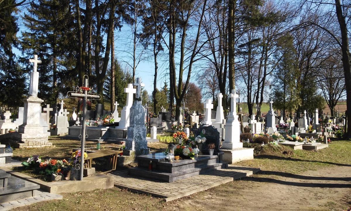 Wikipedia, Roman Catholic cemetery in Zubowice, Self-published work