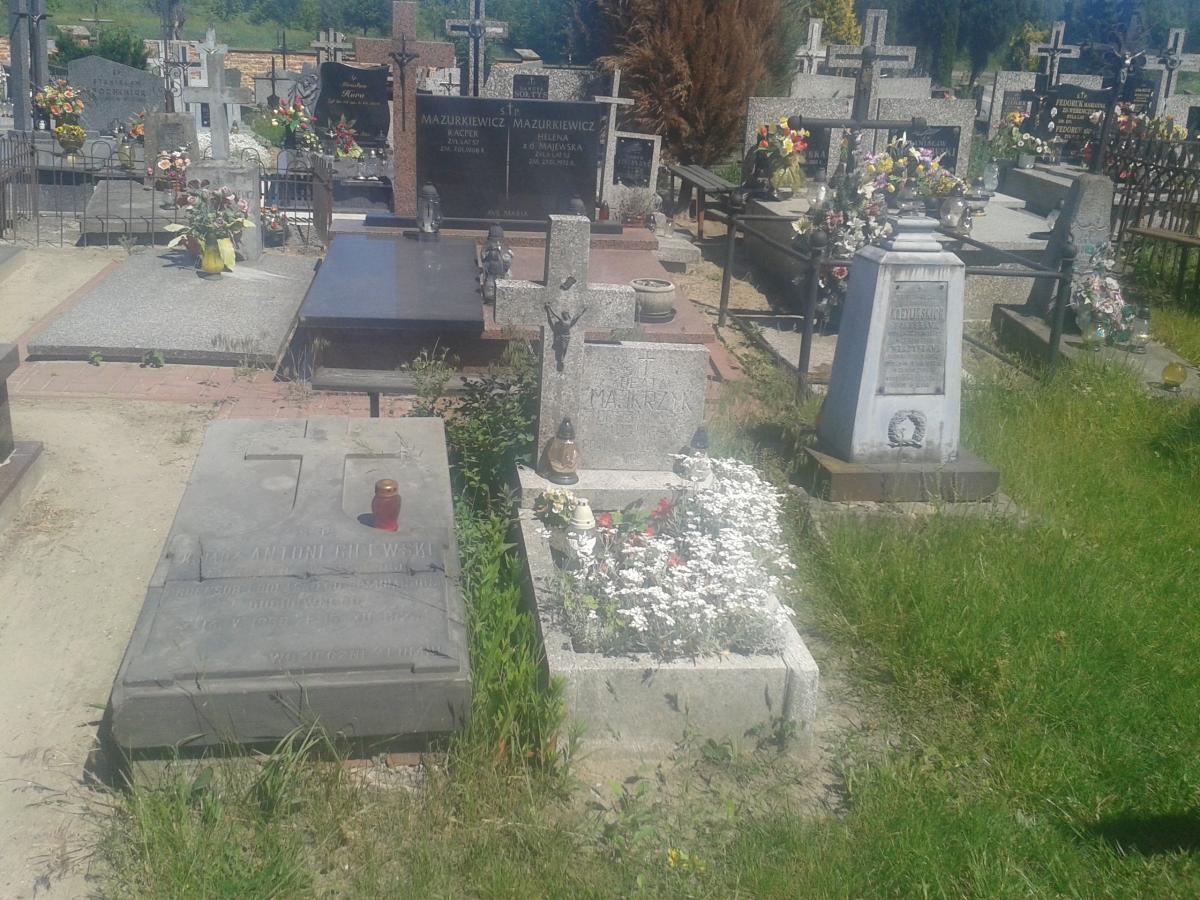 Wikipedia, Cemetery in Janów Podlaski, Self-published work, Wikigrant WG 2015-24