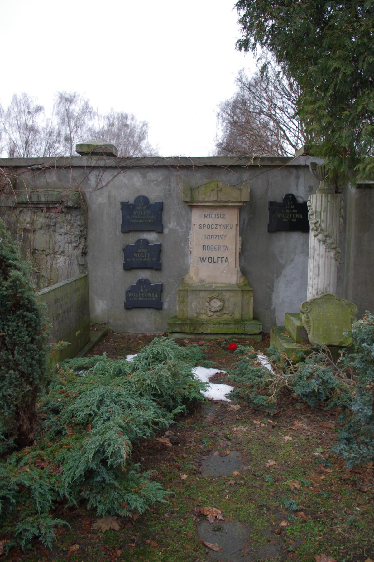 Wikipedia, Evangelical-Augsburg Cemetery in Warsaw, Self-published work