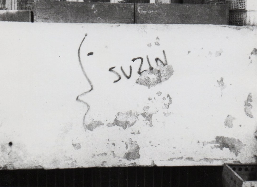 Wikipedia, 1991 in Pozna, Graffiti in Pozna, Human faces in art, Jan Suzin, Matejki Street in Pozn