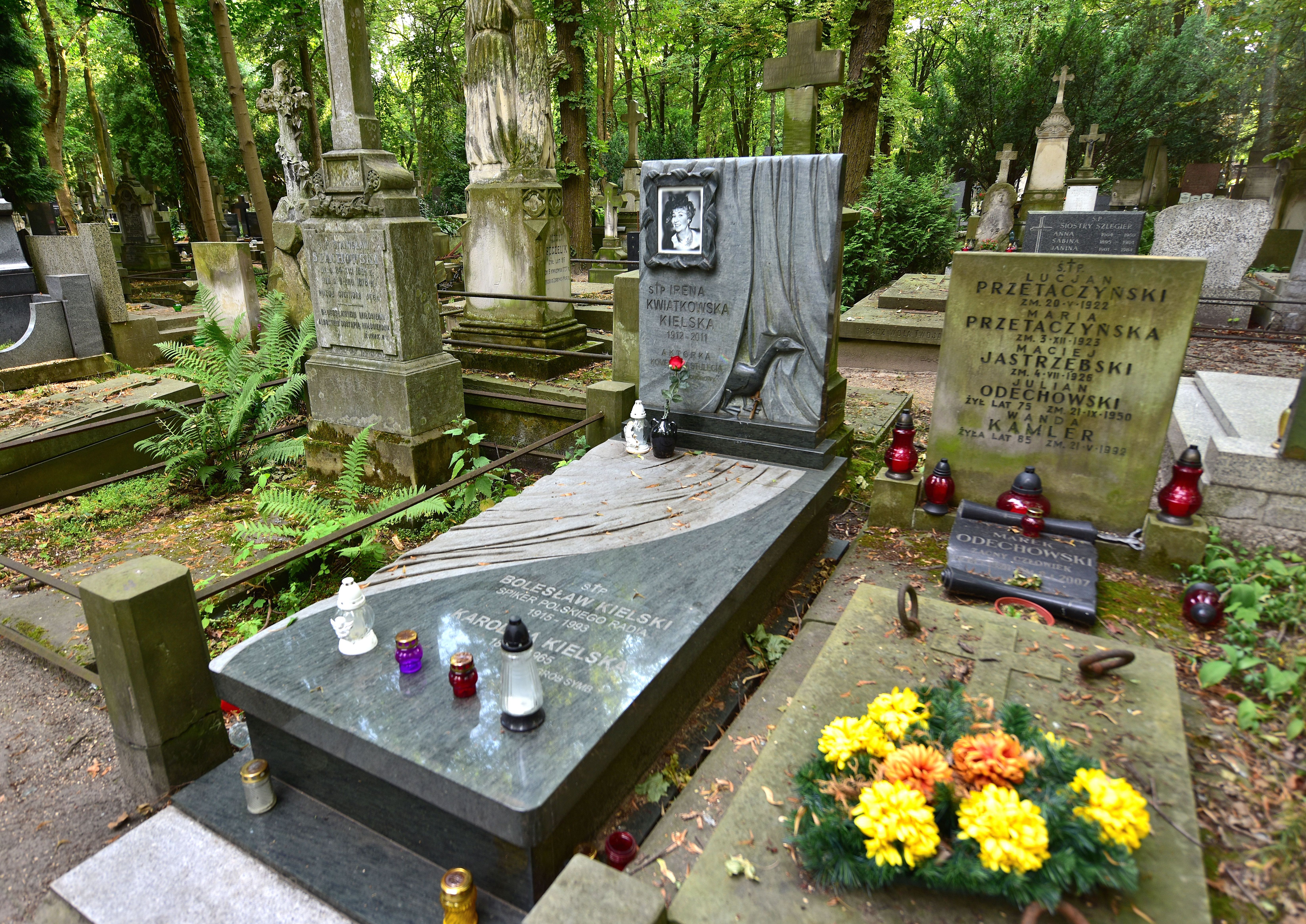 Wikipedia, Irena Kwiatkowska, Pow�zki Cemetery - K, Self-published work