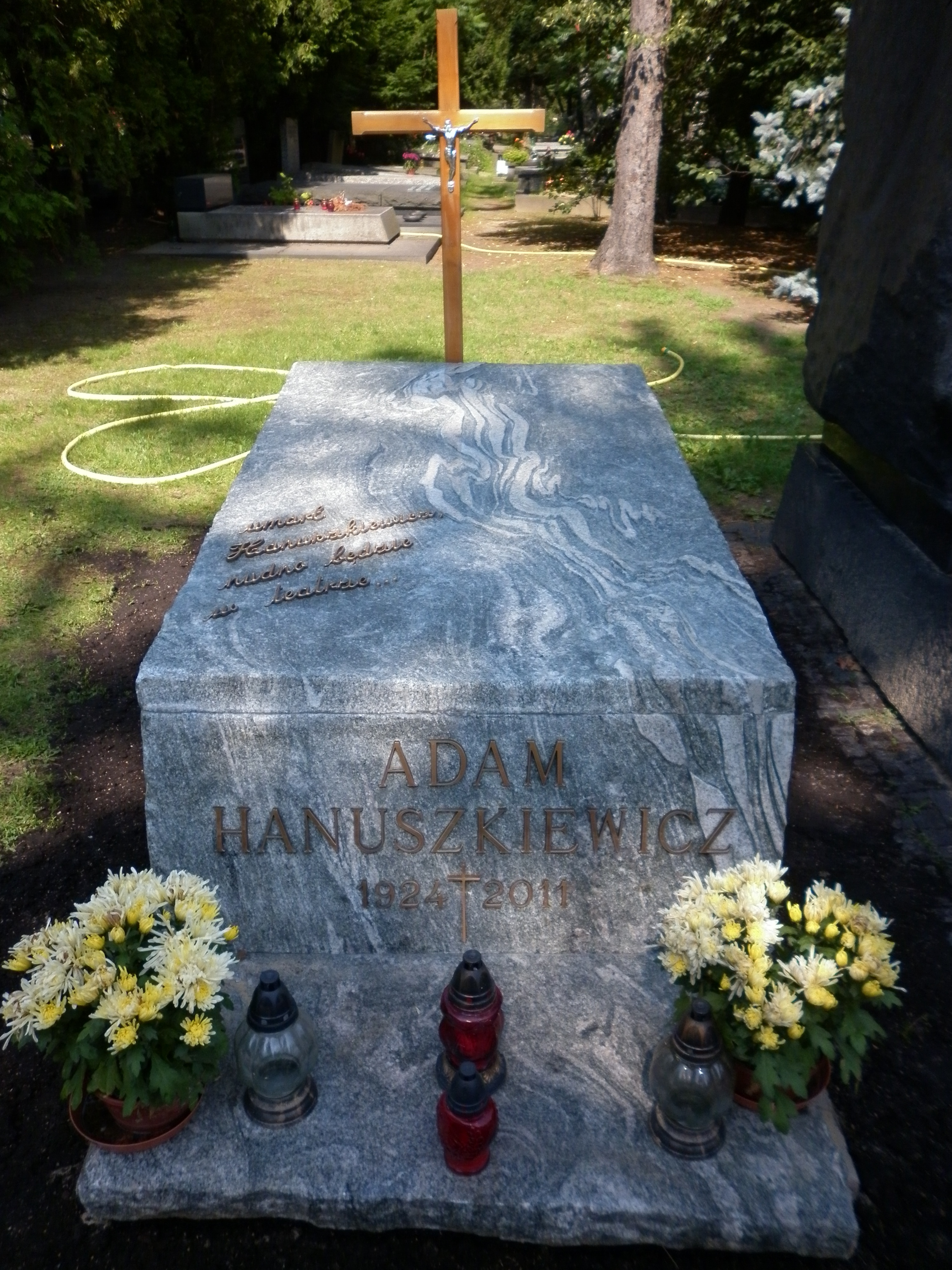 Wikipedia, Adam Hanuszkiewicz, Self-published work, Warsaw Military Cemetery - H