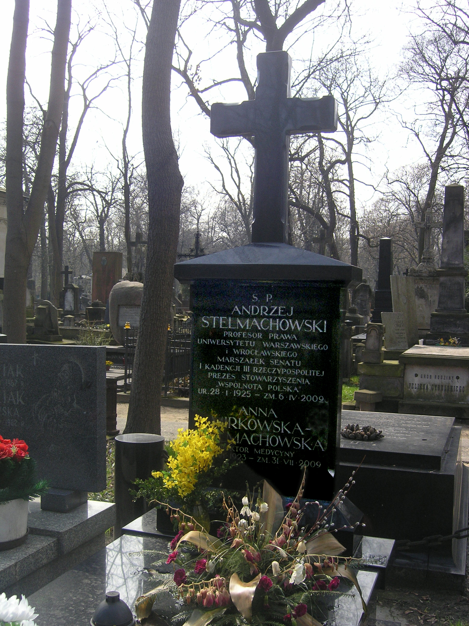 Wikipedia, Andrzej Stelmachowski, Powzki Cemetery - S, Self-published work