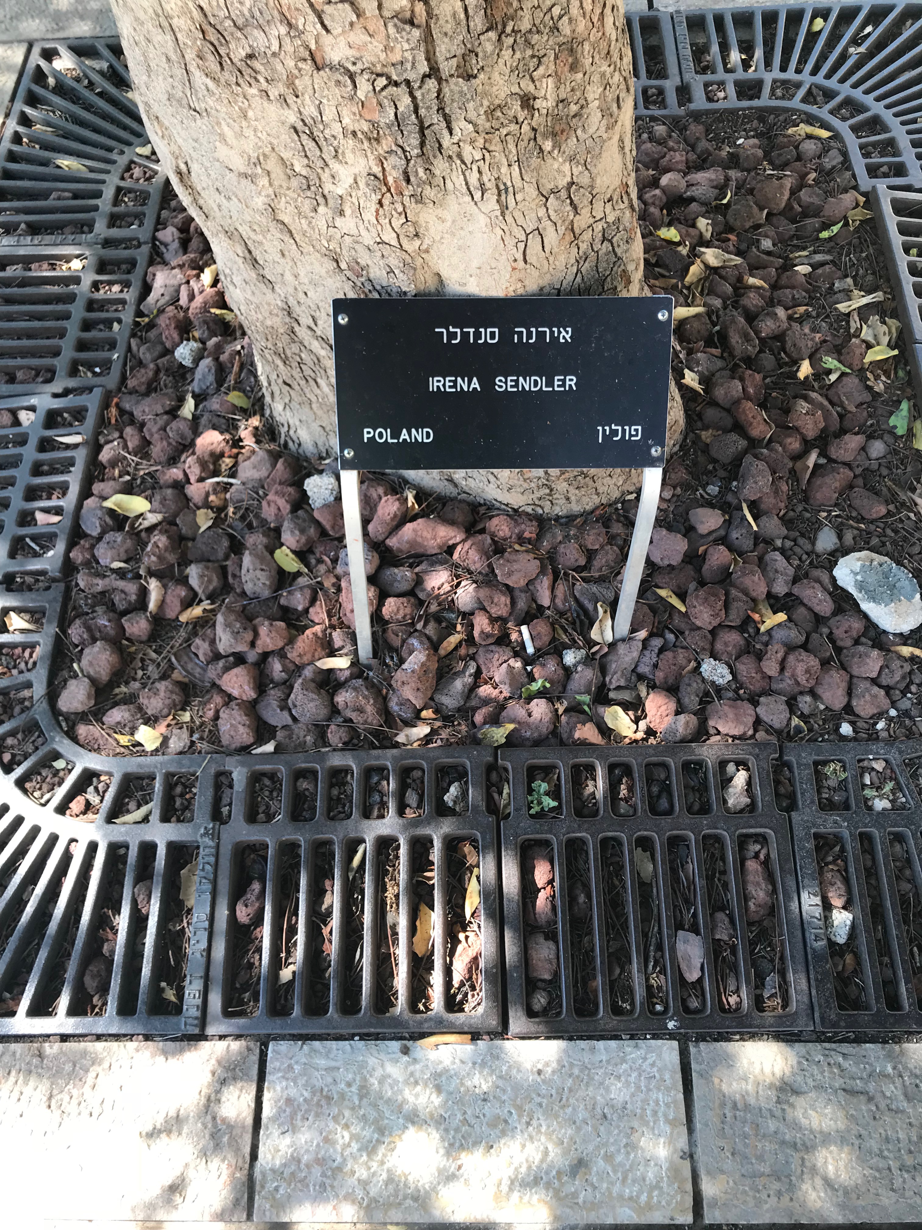 Wikipedia, Holocaust memorials in Israel, Holy Land Pilgrimage 2017, Irena Sendlerowa, Righteous Amo