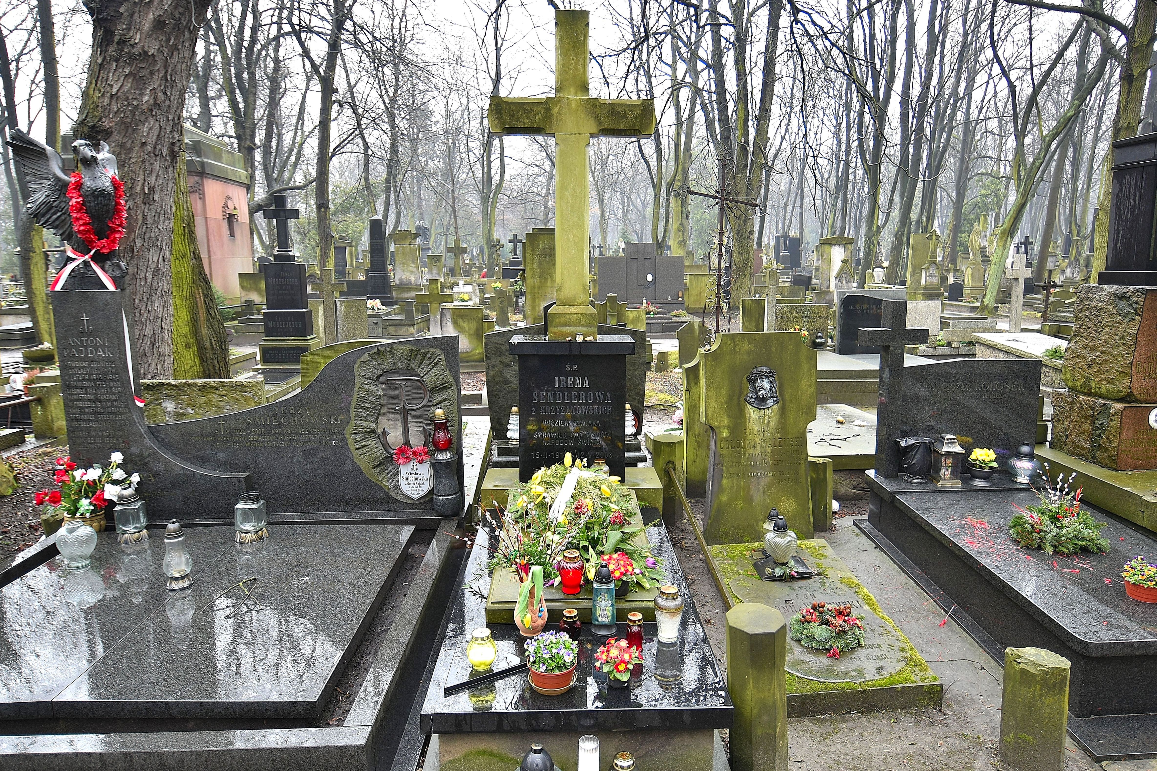Wikipedia, Irena Sendlerowa, Powzki Cemetery - P, Powzki Cemetery - S, Powzki Cemetery - W, Powz
