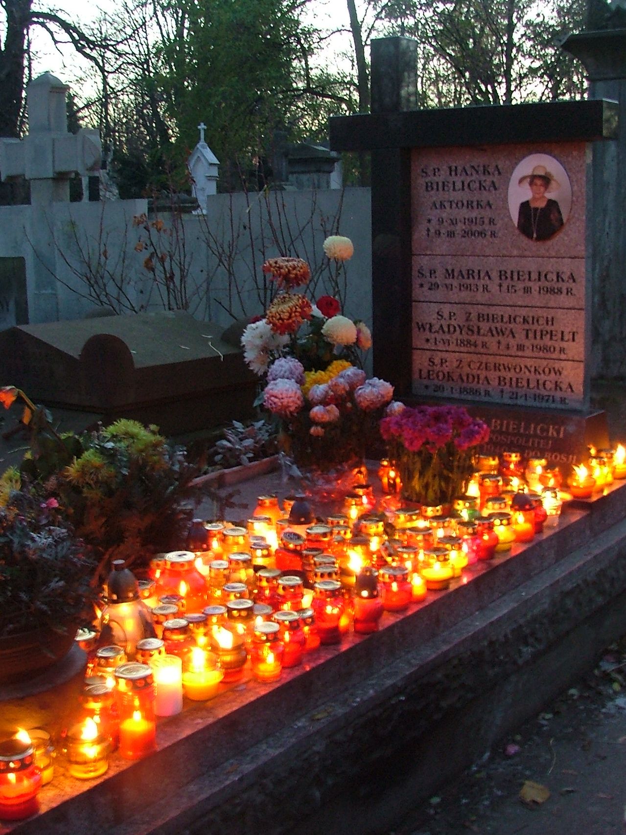 Wikipedia, Hanka Bielicka, Pow�zki Cemetery - B, Self-published work