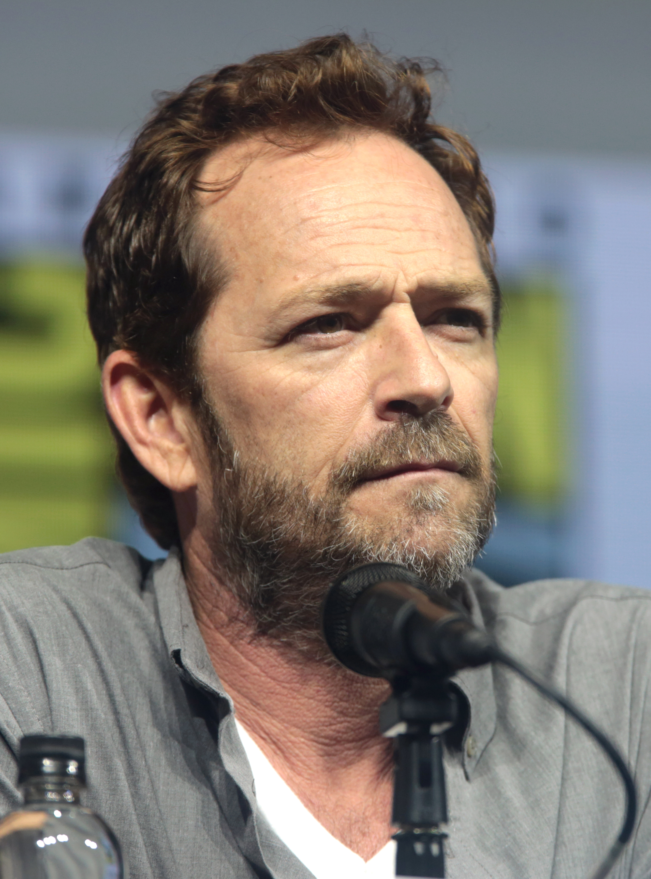 Wikipedia, Luke Perry, Photographs by Gage Skidmore, Riverdale panel at the 2018 Comic-Con Internati