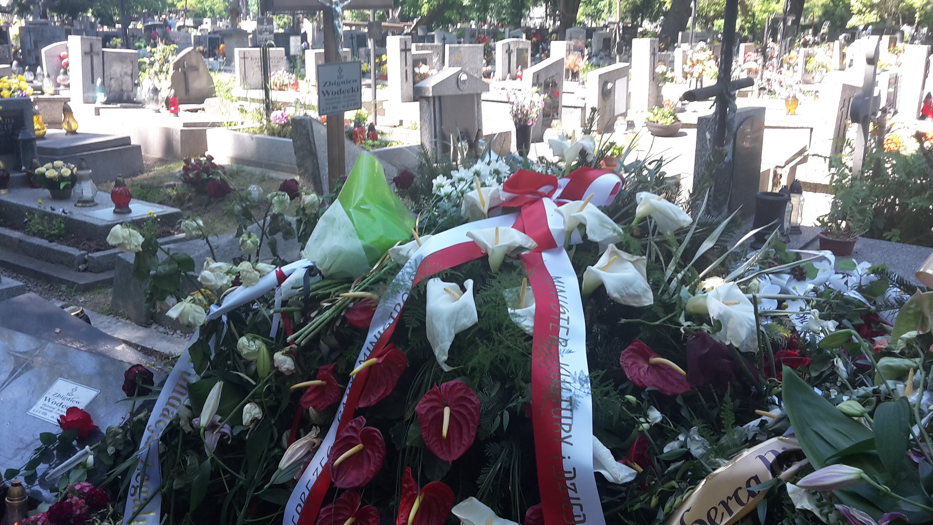 Wikipedia, Rakowicki Cemetery - W, Self-published work, Zbigniew Wodecki