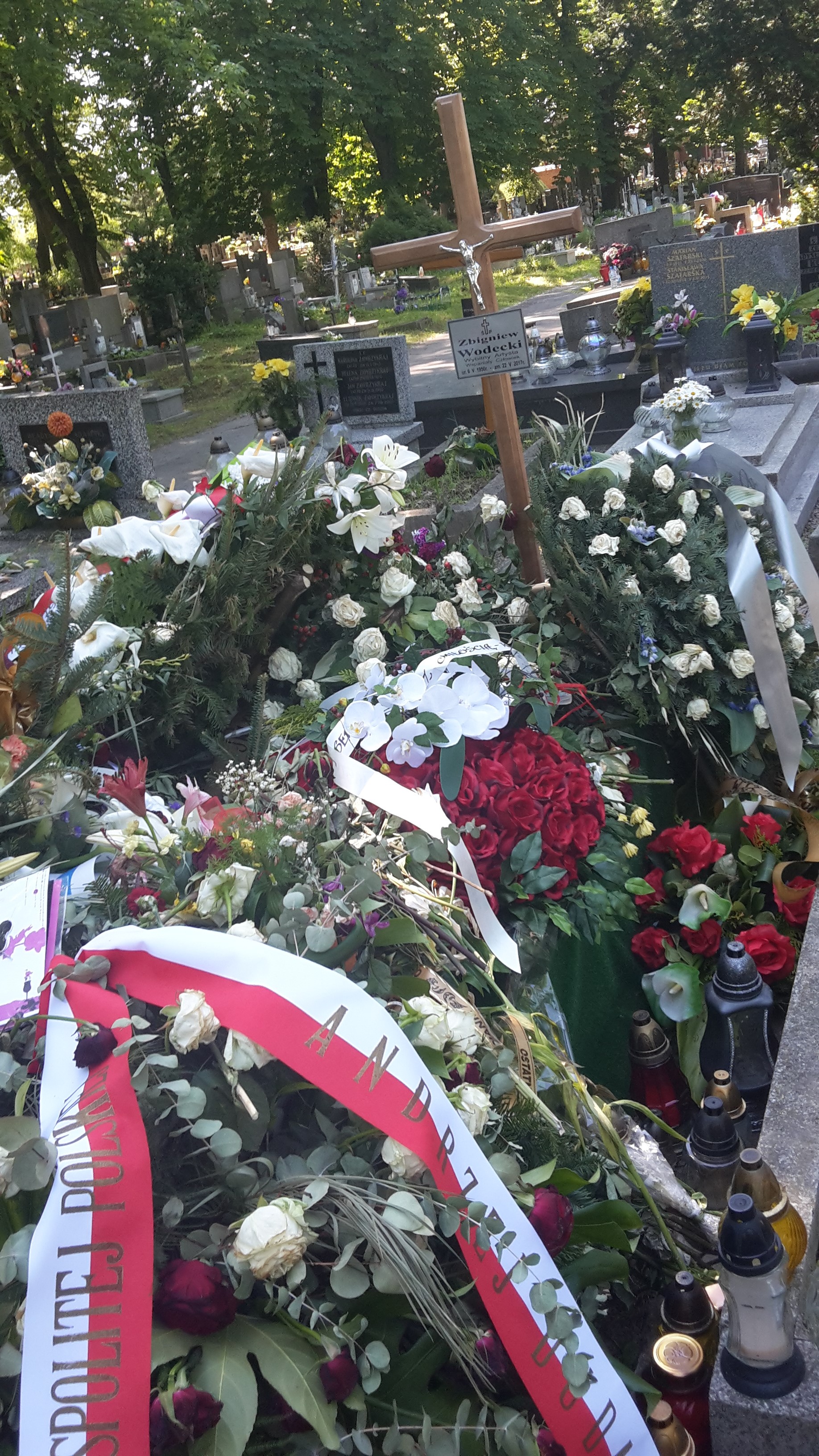 Wikipedia, Rakowicki Cemetery - W, Self-published work, Zbigniew Wodecki