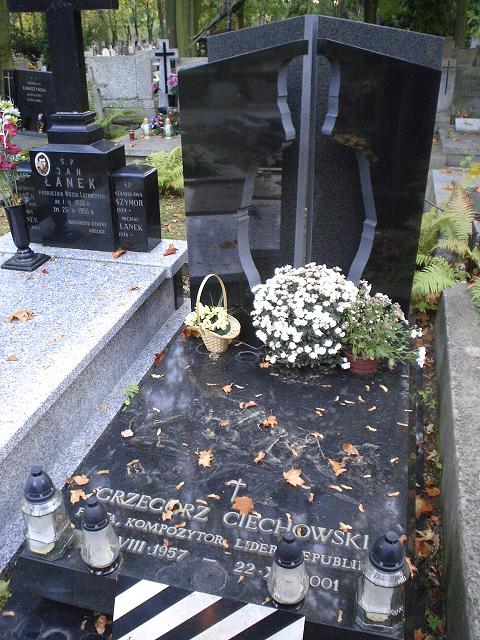 Wikipedia, Grzegorz Ciechowski, Self-published work, Warsaw Military Cemetery - C
