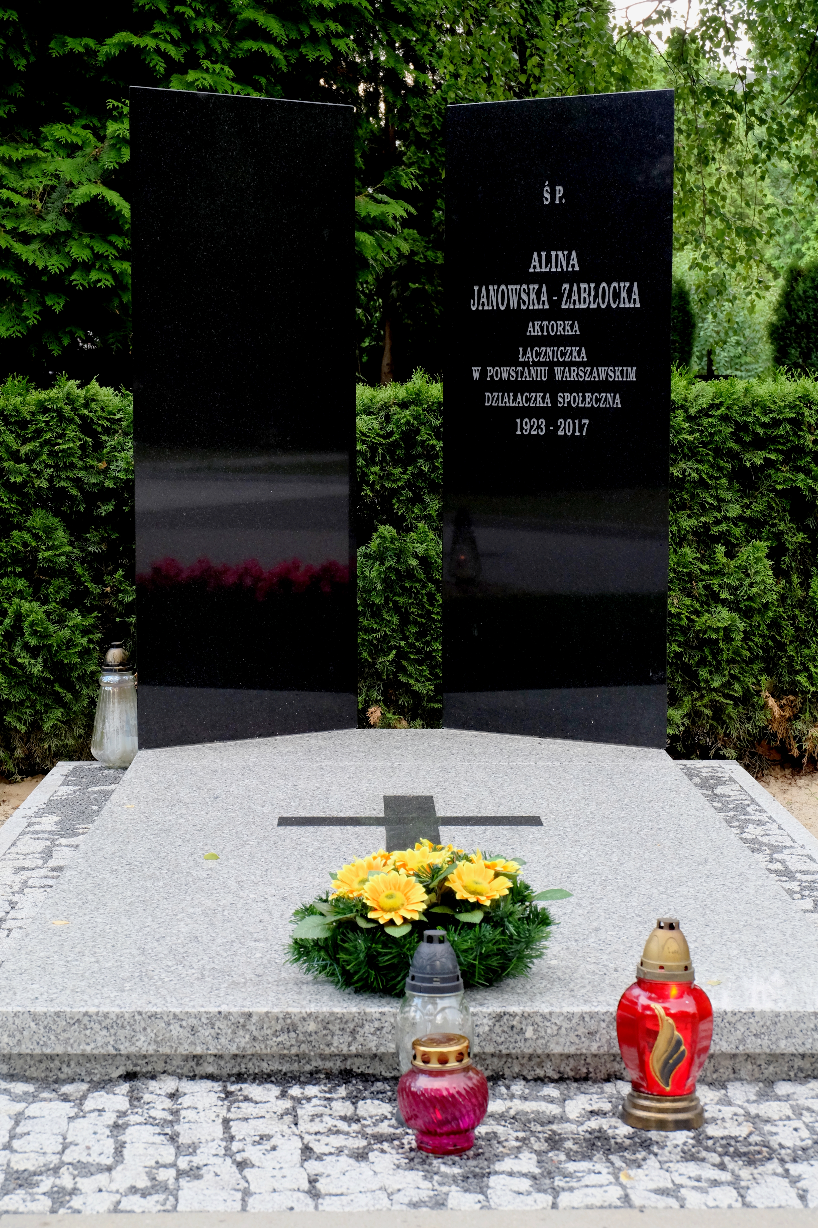 Wikipedia, Alina Janowska, Self-published work, Warsaw Military Cemetery - J