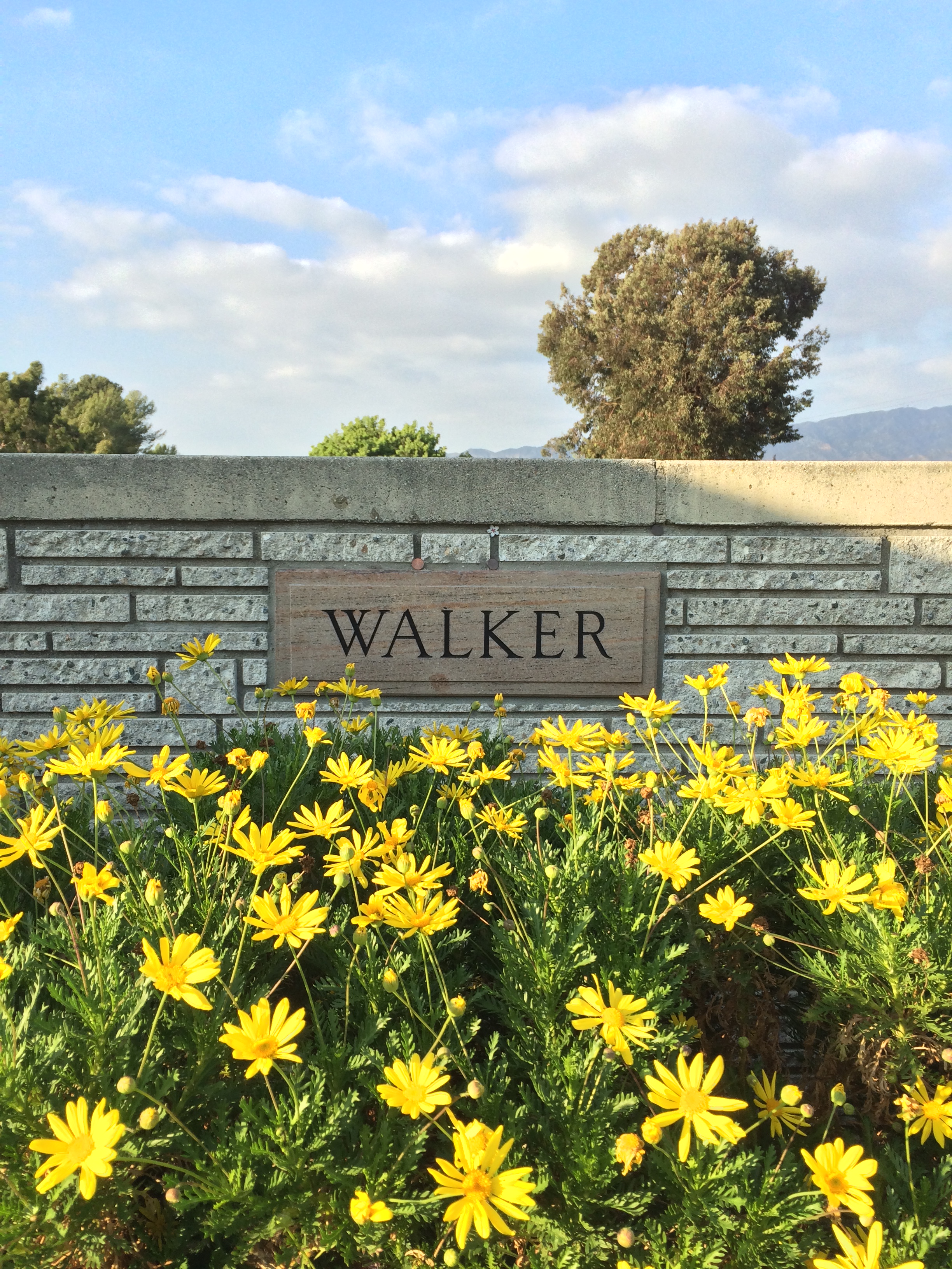 Wikipedia, Forest Lawn Memorial Park (Hollywood Hills), Paul Walker, Self-published work