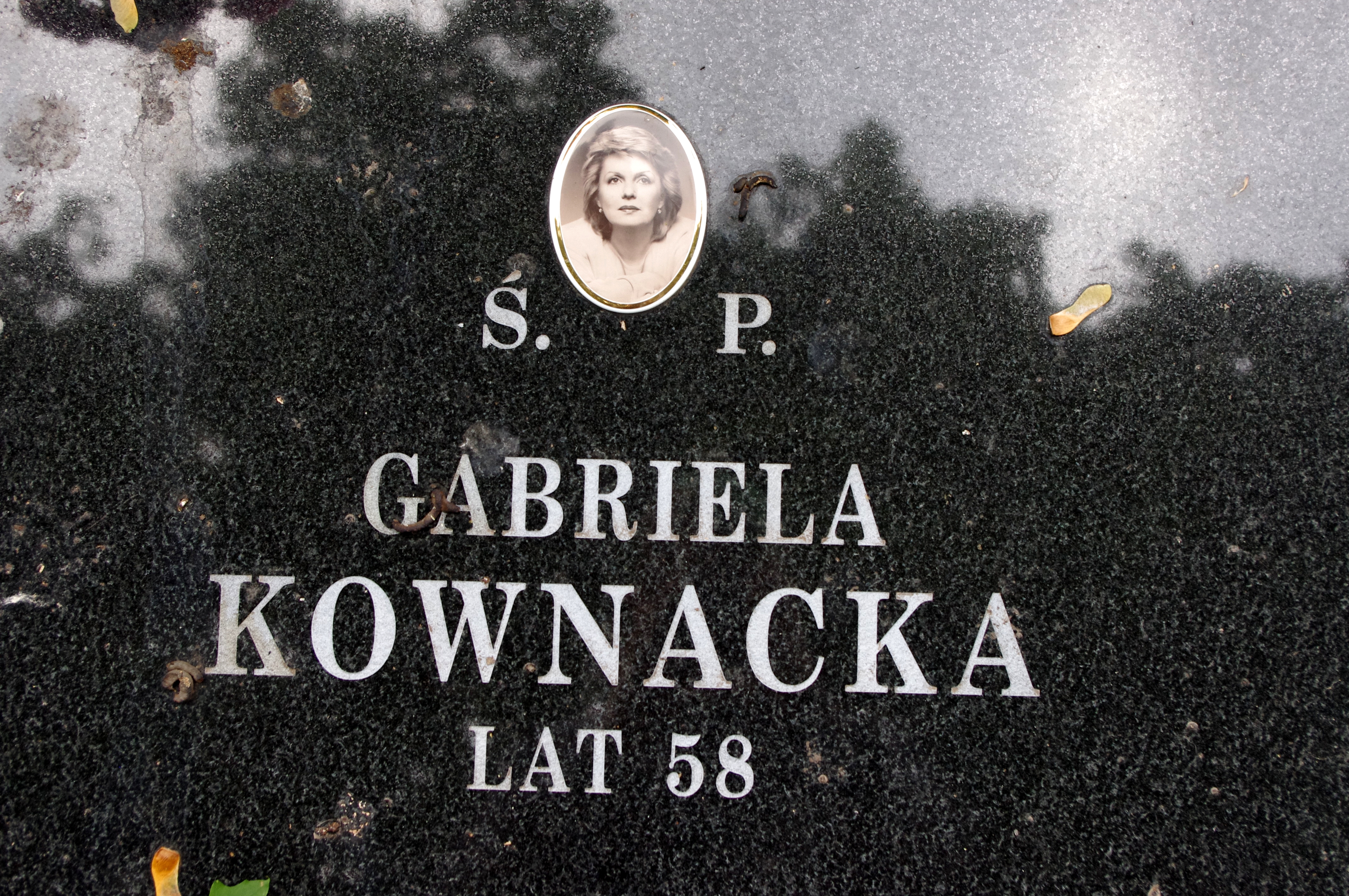Wikipedia, Evangelical-Augsburg Cemetery in Warsaw, Gabriela Kownacka, Grave photographs, Self-publi