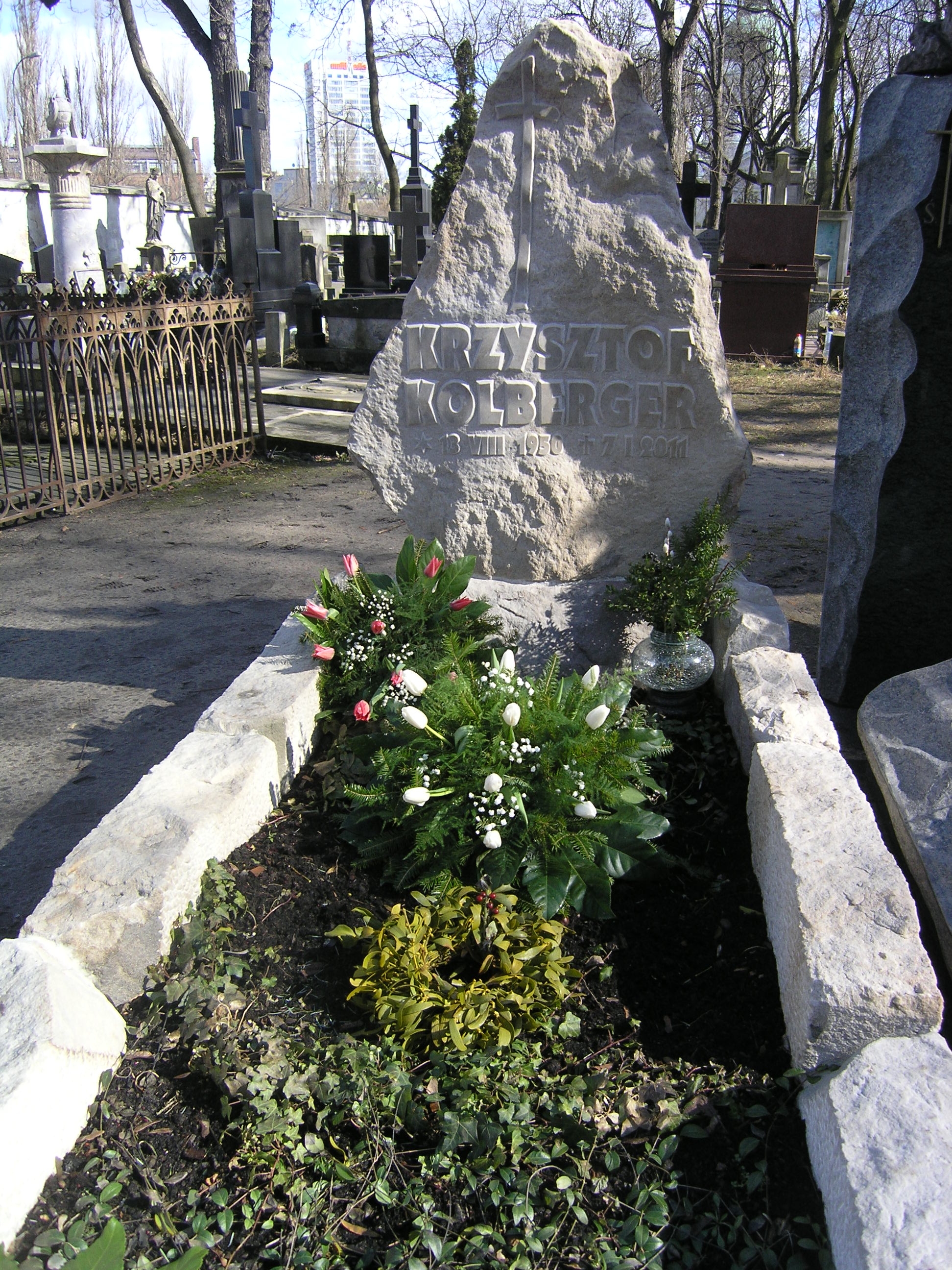 Wikipedia, Krzysztof Kolberger, Powzki Cemetery - K, Self-published work